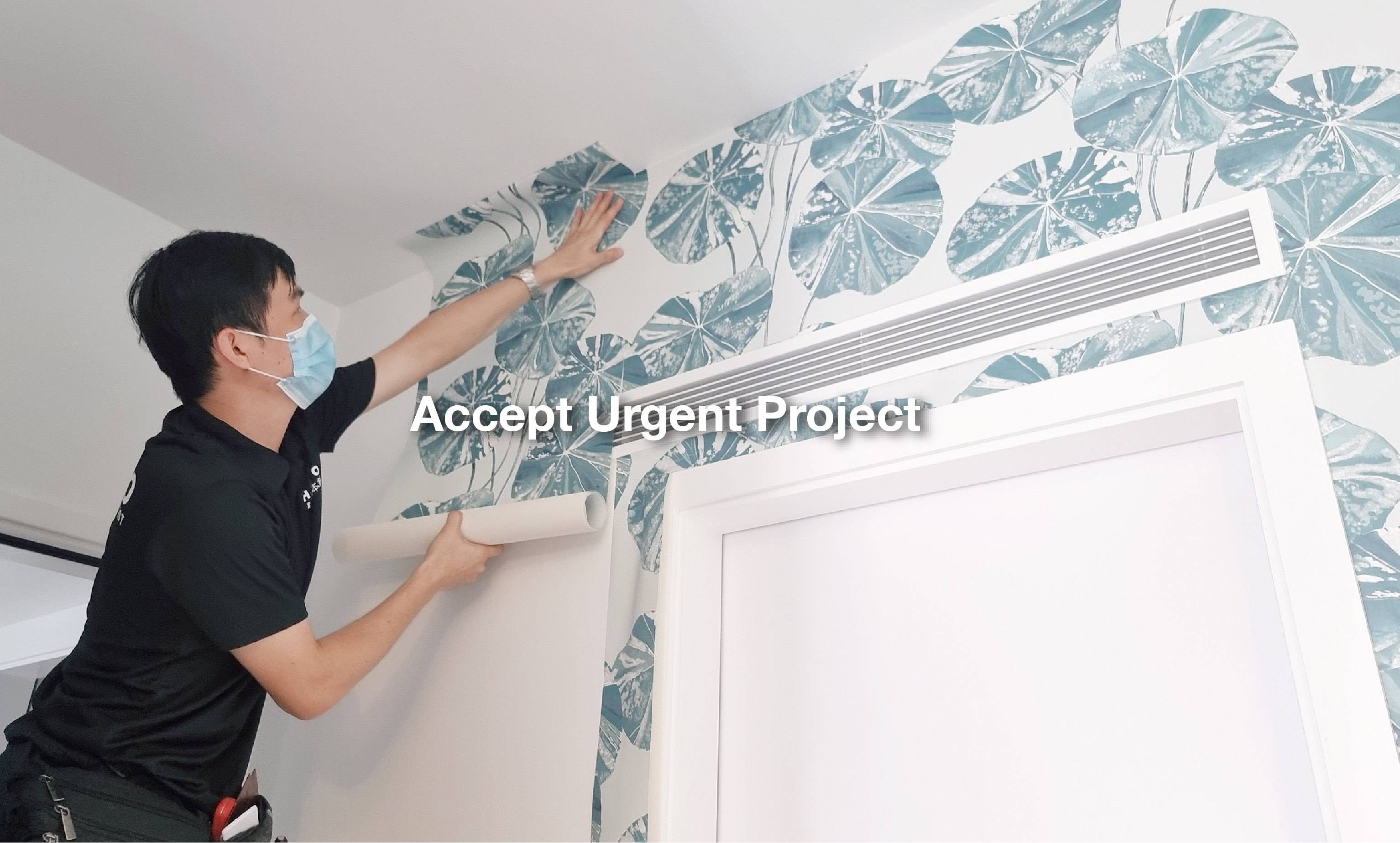 wall paper installers